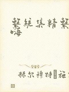 系统集精系统高嗨