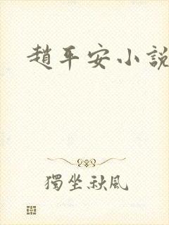 赵平安小说主角封面