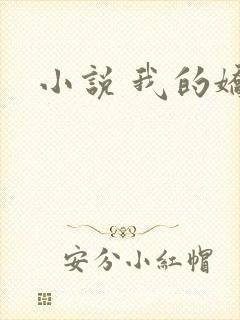 小说 我的娇妻