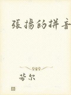 张扬的拼音封面