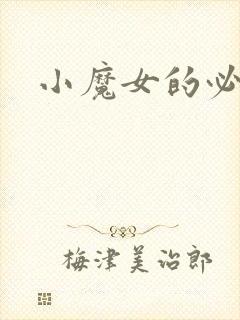 小魔女的必杀技封面