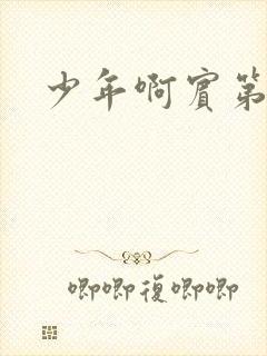 少年啊宾第二部