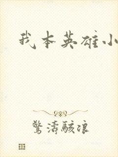 我本英雄小说