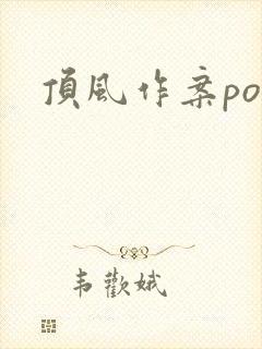 顶风作案po封面