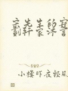 宋先生的宠妻计划轩家沐言