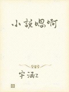 小说嗯啊