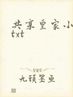 共享皇家小公主txt封面