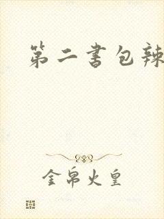 第二书包辣文封面