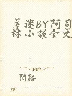 着迷BY阿司匹林小说全文免费阅读封面