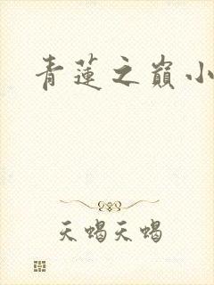 青莲之巅小说封面