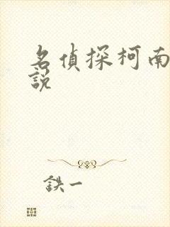 名侦探柯南h小说封面