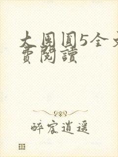 大团圆5全文免费阅读封面