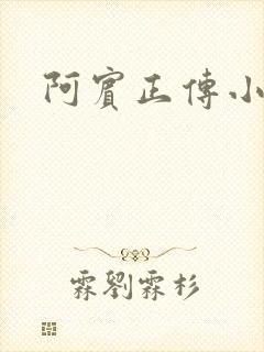 阿宾正传小说封面