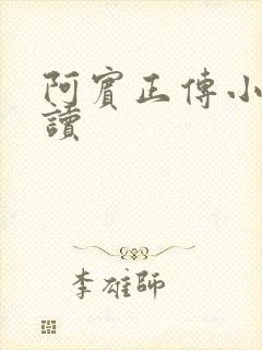 阿宾正传小说在读