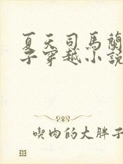 夏天司马兰九皇子穿越小说笔趣阁