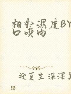 相对湿度BY大口吃肉封面