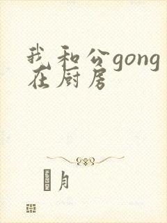 我和公gong在厨房