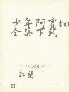 少年阿宾txt全集下载