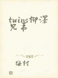 twins柳泽兄弟