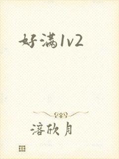 好满1v2