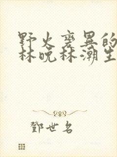 野火变异的父爱林晚林潮生封面