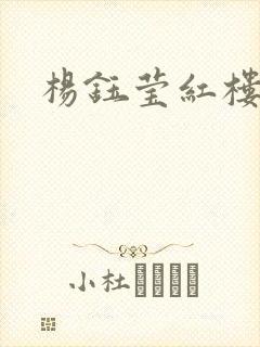 杨钰莹红楼封面