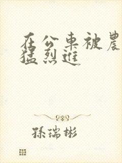 在公车被农民工猛烈进封面