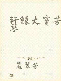 轩辕大宝芳菲雅琴