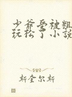 少爷受被粗汉H玩松了小说