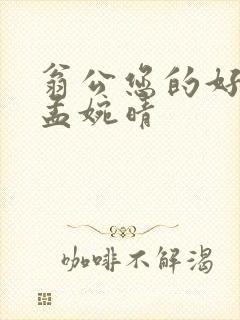 翁公您的好长呀孟婉晴封面