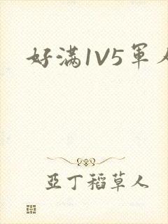 好满1V5军人