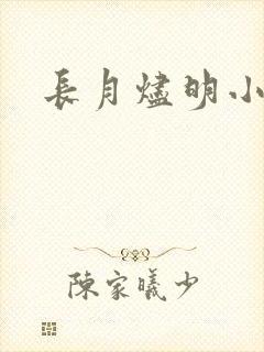 长月烬明小说封面