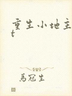 重生小地主txt封面