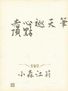 赤心巡天笔趣阁顶点封面