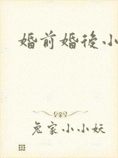 婚前婚后小说封面