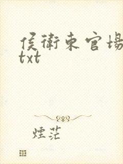 侯卫东官场笔记txt