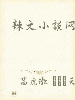 辣文小说网