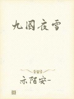 九国夜雪封面