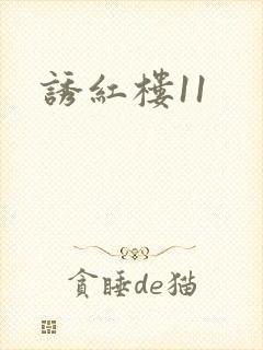 诱红楼11