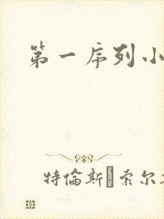 第一序列小说