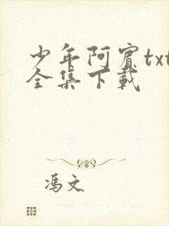 少年阿宾txt全集下载
