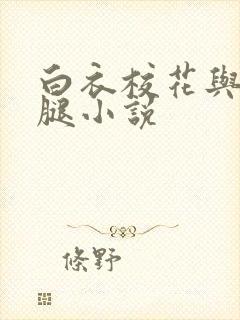 白衣校花与大长腿小说