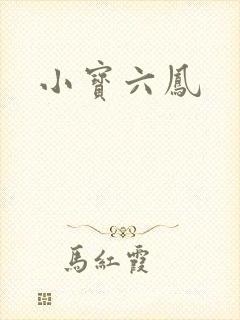 小宝六凤