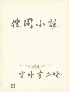 搜同小说