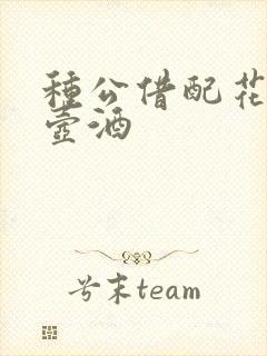 种公借配花间一壶酒