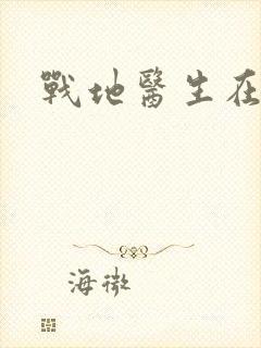 战地医生在都市封面