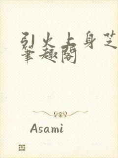 引火上身芝麻糖笔趣阁封面