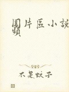 图片区小说区视频