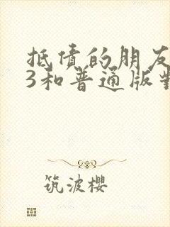 抵债的朋友麦子3和普通版对比