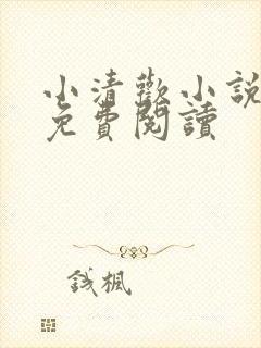 小清欢小说全文免费阅读封面